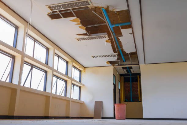 Best Fire Damage Restoration  in New Orleans, LA
