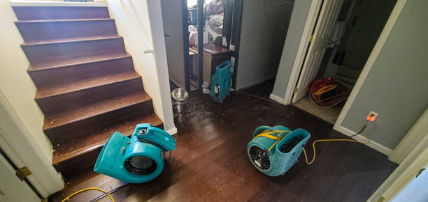 Trusted New Orleans, LA Water damage restoration Experts