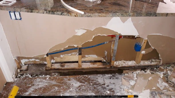 Best Water damage cleanup near me  in New Orleans, LA