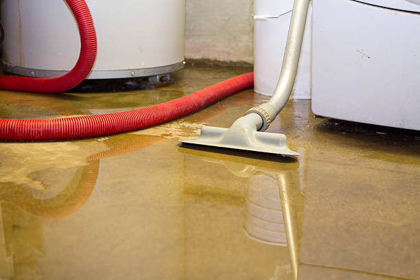 Best Water damage cleanup near me  in New Orleans, LA