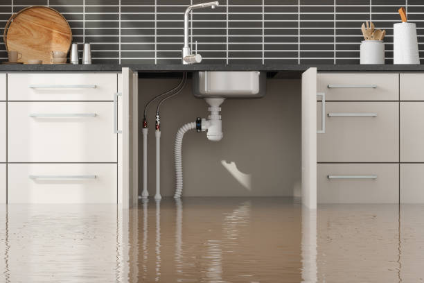 Best Flooded house restoration  in New Orleans, LA