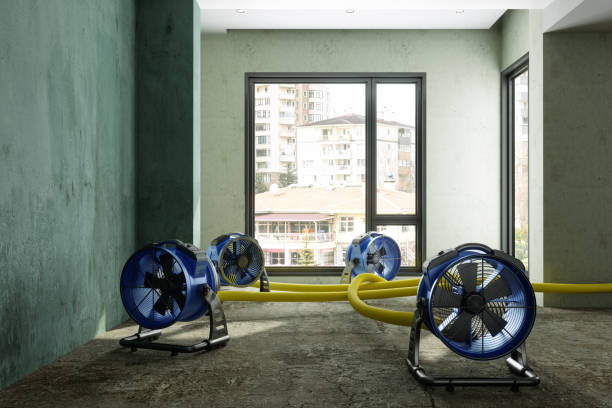 Best Sewage cleanup and water damage restoration  in New Orleans, LA